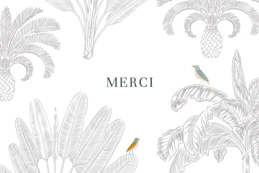Carte de remerciement Oiseaux de paradis (paysage) blanc - Recto