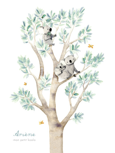 Affichette Koalas en famille blanc - Recto
