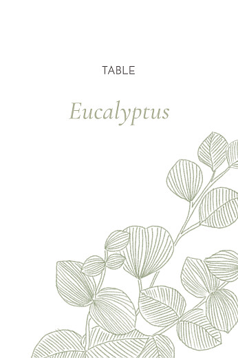Marque-table mariage Envolée d'eucalyptus vert - Recto